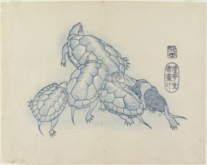 （カメ）、c。 1830 作： Hogyoku